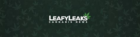 leafyleaks|Leafy Leaks (@leafyleaks) • Instagram photos and videos